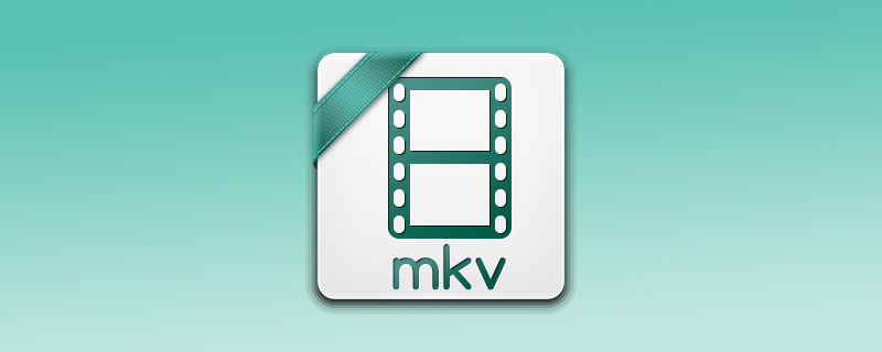 mkv file codec